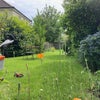 Photo 5: Back garden