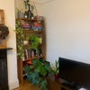 Photo 6: Living room