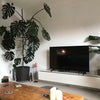 Photo 2: Living Room