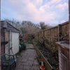 Photo 9: Back garden, could do with some TLC in the spring!
