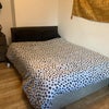 Photo 2: Large Double Bedroom