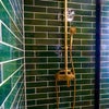 Photo 4: Shower