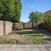 Photo 6: Sunny garden