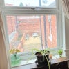 Photo 6: View to rear