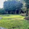 Photo 9: Back garden 