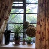 Photo 5: Bedroom Window
