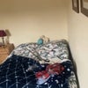 Photo 1: Bedroom with double bed 