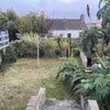 Photo 8: Garden