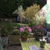 Photo 4: Garden
