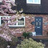 Photo 6: House