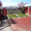 Photo 3: Back garden