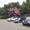 Photo 7: Parking at the opposite of the house