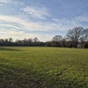 Photo 8: The local park