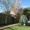 Photo 8: Garden