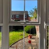 Photo 4: Garden or Patio