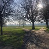 Photo 9: Clapham Common