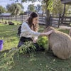 Photo 3: Feeding a capybara (one of my fave animals) at a wildlife park!