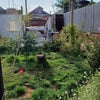 Photo 6: Garden