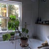 Photo 5:  Bathroom with overhead shower