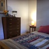 Photo 2: Newly painted bright room