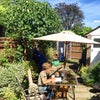 Photo 8: Garden