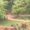 Photo 4: View from house in Summer