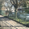 Photograph of Galya 