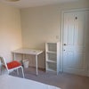 Photo 3: Study area