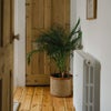 Photo 2: Bedroom