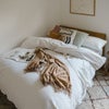Photo 3: Bedroom