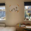 Photo 2: Available Room