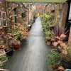 Photo 9: Residents Only Garden