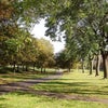 Photo 9: Burgess Park- the view from the Living Room