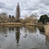 Photo 8: Brockwell pond