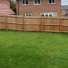 Photo 7: Garden