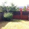 Photo 4: Garden