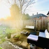 Photo 5: Back garden 