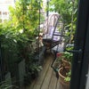 Photo 5: Balcony 