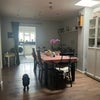 Photo 8: Dinning area- please see our sausage dog in picture