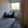 Photo 8: Single Bedroom