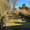 Photo 9: Beautiful garden