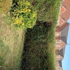 Photo 7: Fromt garden