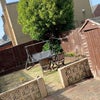 Photo 6: Back garden