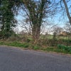 Photo 5: Walking Fields Opposite