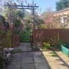 Photo 5: Back garden