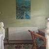 Photo 4: Study