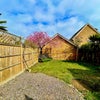 Photo 7: Garden area 3