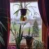 Photo 7: View from Living Room