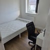 Photo 4: Good sized bedroom 