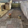 Photo 7: Rear Garden